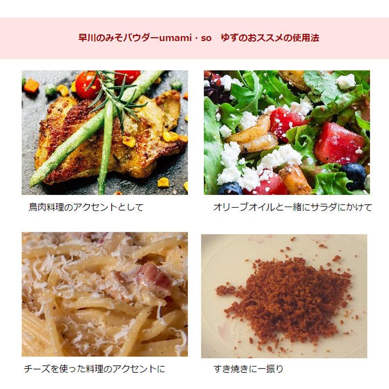 早川みそパウダー 「umami・so」 3種セット(みそプレーン・柚子・ごま 各70g）アウトドアスパイス うまみそ 乾燥味噌 粉末みそ無添加 詰め合わせ アソートセット｜m-and-agency｜08