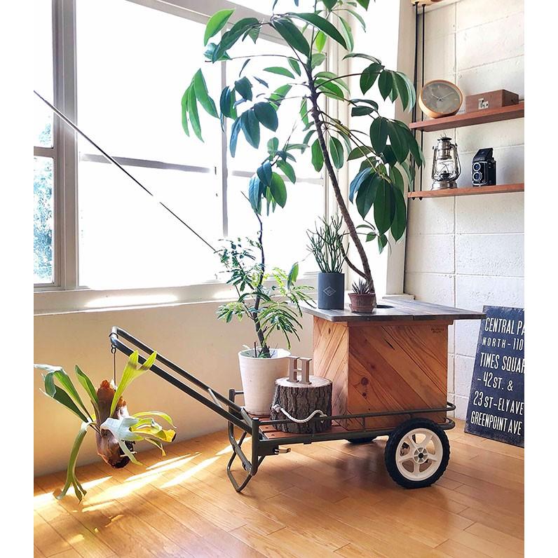 Hang Out（ハングアウト） 折りたたみ アウトドアワゴン NIGURUMA NGM