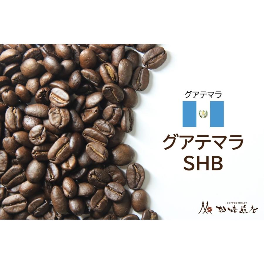 グアテマラSHB 焙煎後約200g | 