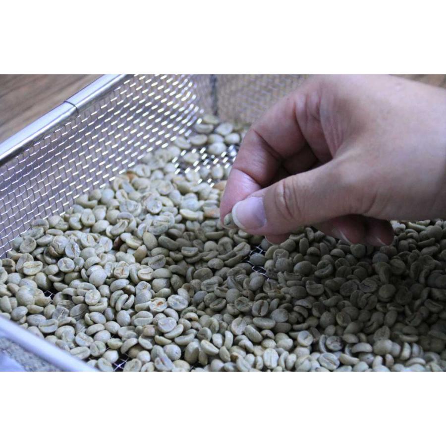 グアテマラSHB 焙煎後約200g |  | 02