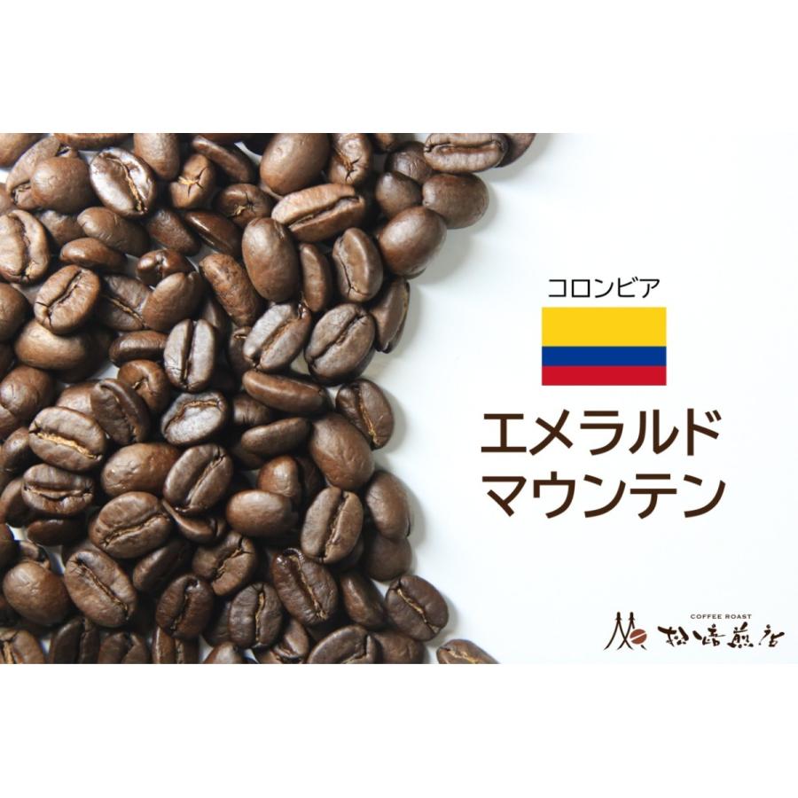 エメラルドマウンテン 焙煎後約200g | 