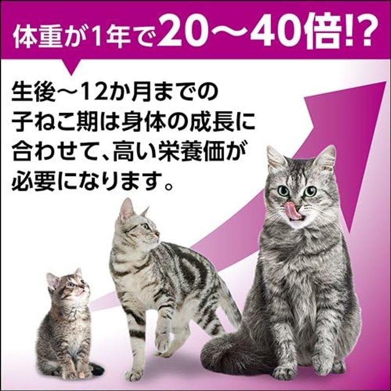 カルカン パウチ 12ヵ月までの子ねこ用 キャットフード お魚ミックス まぐろとかつお 70g×160 (ケース販売)｜m-choiceplaza｜03