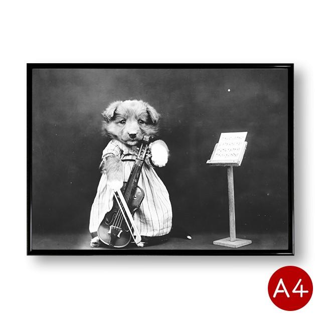 ポスター 犬のモノクロポスターno 4 バイオリン モノトーン モノクロ 動物 写真 アートポスター ビンテージ おしゃれ ポイント消化 送料無料 Ani0011 Mdsバラエティストア 通販 Yahoo ショッピング