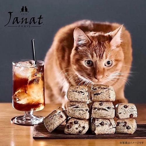 Janat ジャンナッツ アールグレイティー 50袋入×1箱 計50袋 紅茶