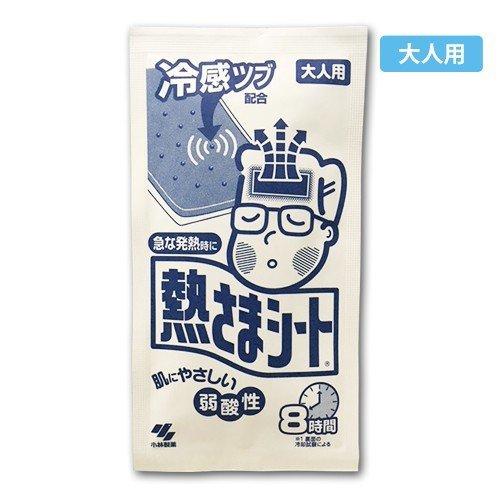 小林製薬 熱さまシート 大人用 10枚入 5袋(1袋 2枚入) 送料無料 発熱 