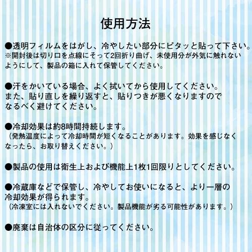小林製薬 熱さまシート 大人用 2枚入り 10袋 超歓迎された 計枚 ポイント消化 送料無料 バラ売り 打ち身 冷却シート 発熱 頭痛 弱酸性 ジェル お試し