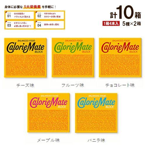 カロリーメイト ブロック 5種類セット×各2箱 計10箱 バニラ・チョコ