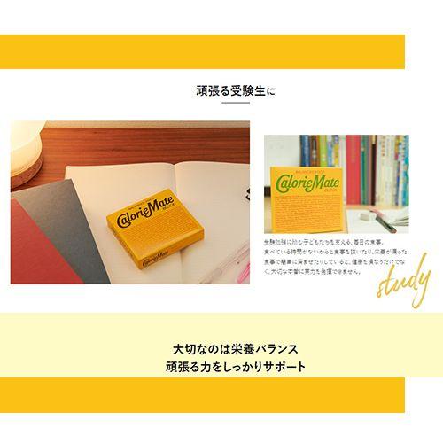 カロリーメイト ブロック 5種類セット×各2箱 計10箱 バニラ・チョコ