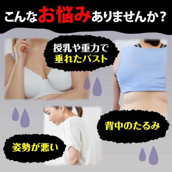 保証 猫背矯正ベルト 女性 姿勢矯正 バストアップブラ グッズ 補正 巻き肩 背筋矯正ベルト 猫背を治す方法 下着 Aynaelda Com