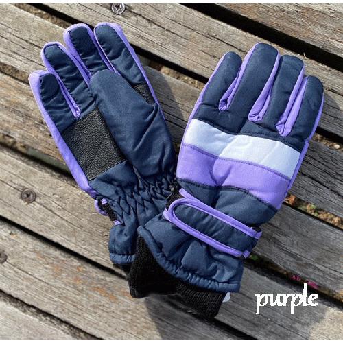 スキー手袋 スキーグローブ スノーグローブ 手袋 グローブ