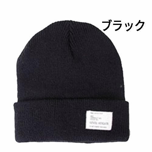 ニット帽 ニットキャップ 帽子 メンズ レディース スキー スノーボード スノボ あったかい 暖かい 男女兼用 WP-01 送料無料（代引き発送はできません） |  | 01