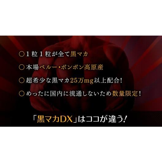 【5/19 23:59まで10%OFF】 黒マカ 100%粒 黒マカDX 90日分 180粒 黒マカ250000mg以上 ペルーボンボン高原産 LOHAStyle ロハスタイル｜m-h-s｜05