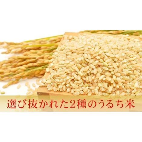 玄米茶 90g ×3袋 約450杯分 お徳用セット 静岡産抹茶入り LOHAStyle ロハスタイル|m-h-s|02