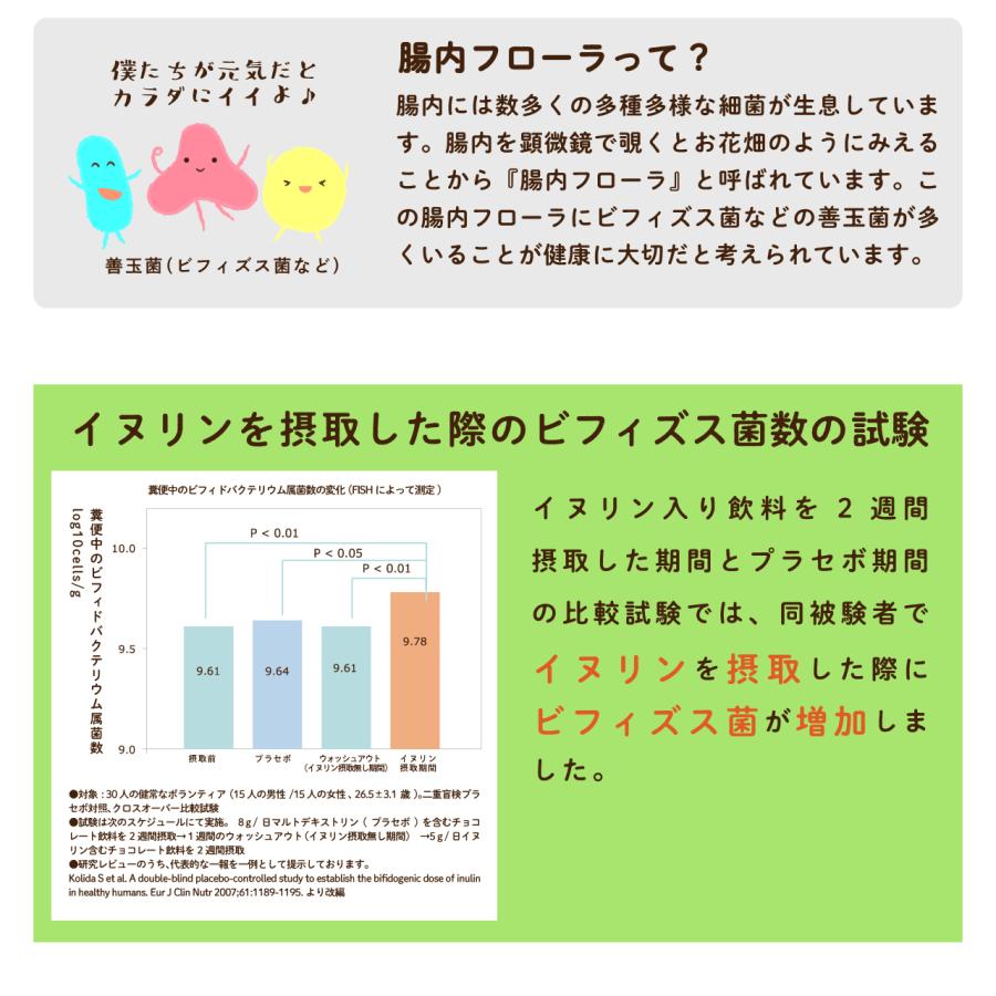 イヌリン 2kg 血糖値 便秘 にお悩みの方に 機能性表示食品 水溶性食物繊維 顆粒タイプ 菊芋 同組成 食物繊維｜m-h-s｜09