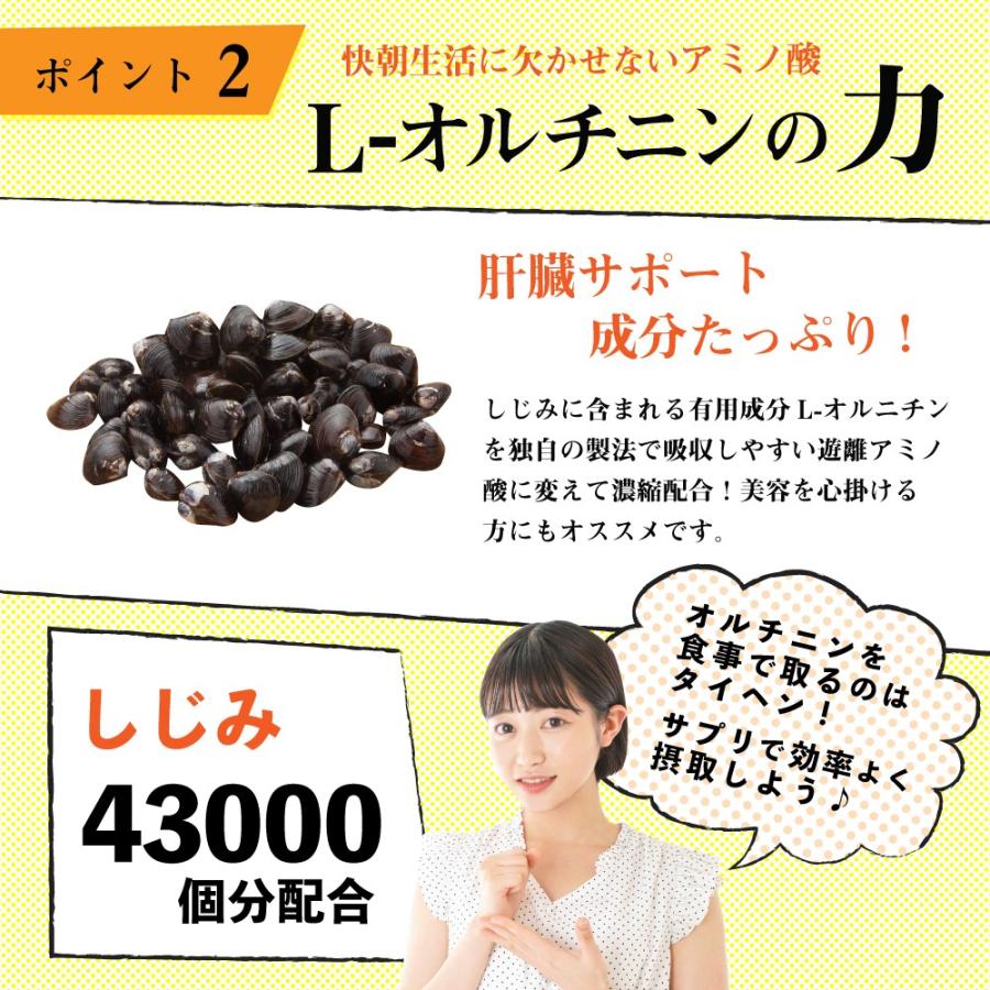 My Health Standard クルクミン サプリ ウコン オルニチン 肝臓エキス