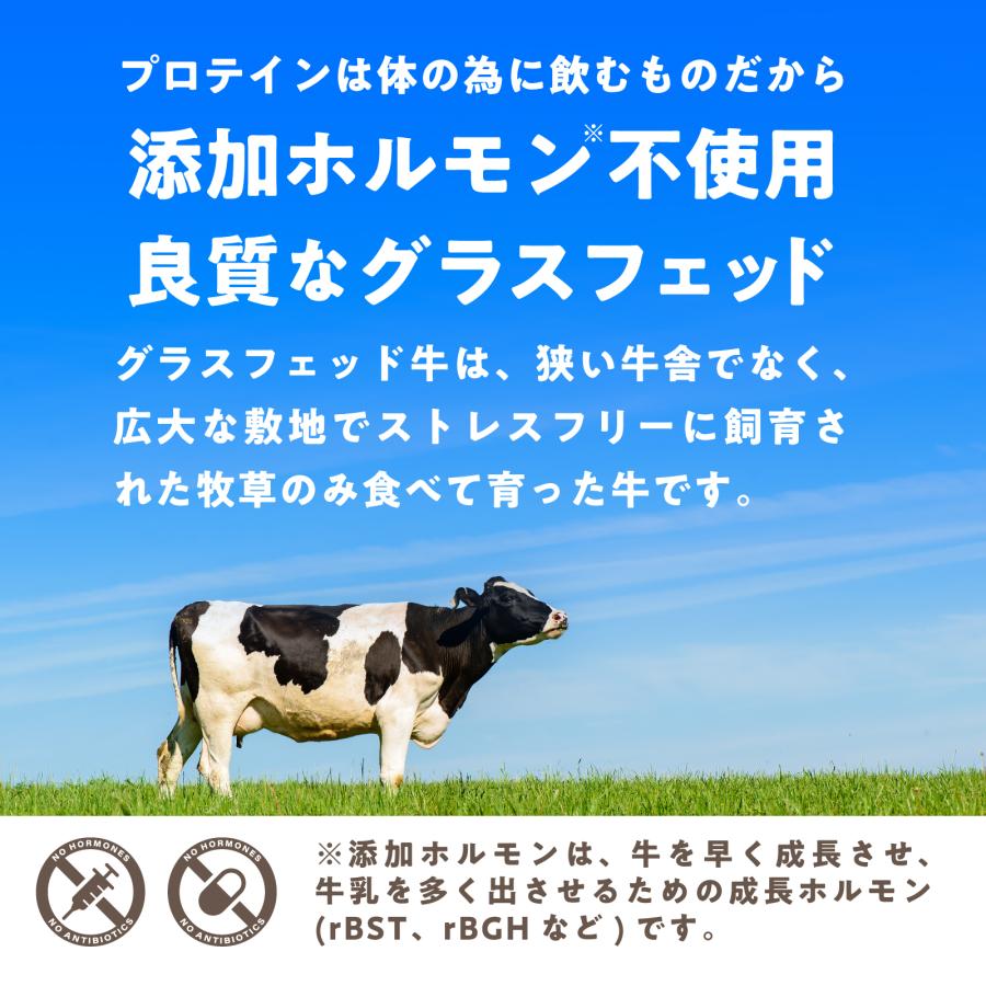 3袋おまとめ　ロハスタイル　グラスフェッド　ホエイプロテイン　有機カカオ LOHAStyle（ロハスタイル） プロテイン グラスフェッド ホエイ 有機