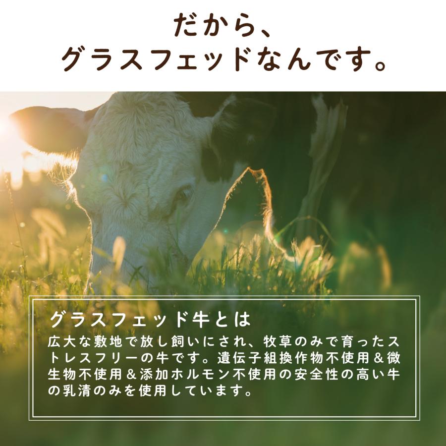 LOHAStyle プロテイン グラスフェッド ホエイ Type-s 丸ごと苺