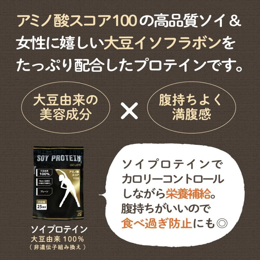 ソイプロテイン 大豆プロテイン 500g ナチュラル プレーン 大豆たんぱく アメリカ産 ダイエット LOHAStyle｜m-h-s｜06