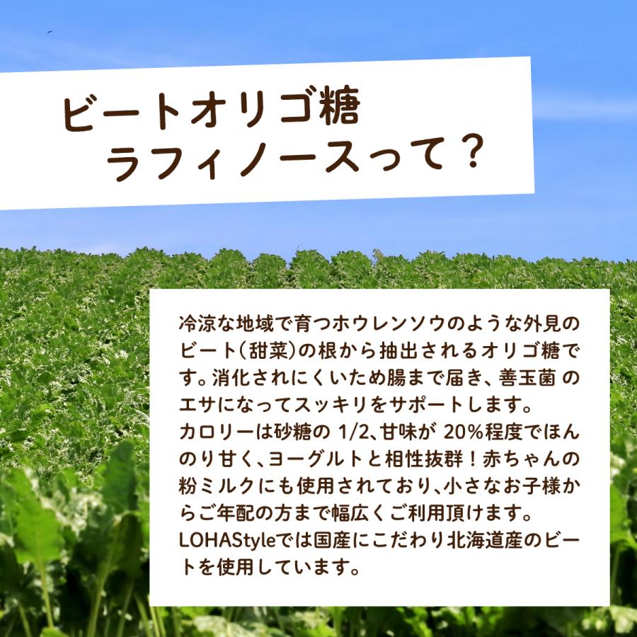 ラフィノース オリゴ糖 ラフィノース ビートオリゴ糖 500g 北海道産 LOHAStyle ロハスタイル｜m-h-s｜02