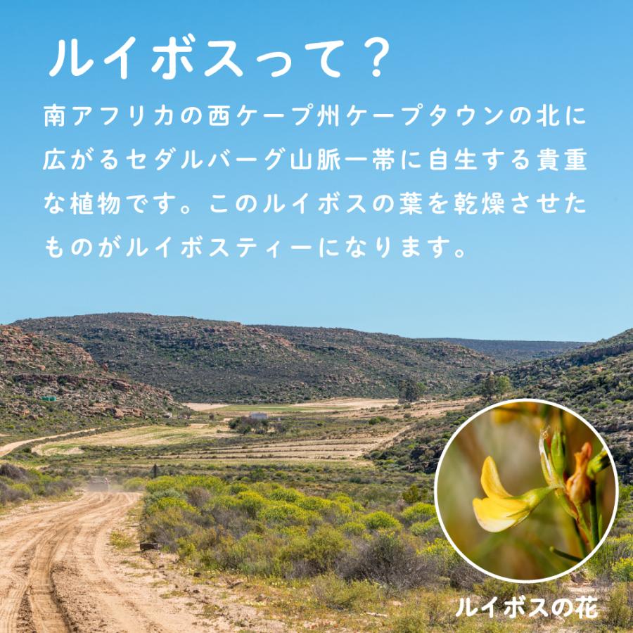 ルイボスティー 粉末100g 水出し 約200杯分 煮出し不要 水を注ぐだけで完成 LOHAStyle ロハスタイル｜m-h-s｜04