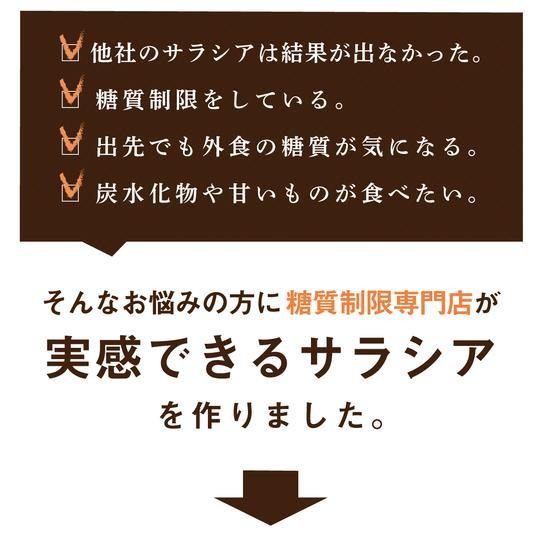 サラシア サプリメント サラシアPremium 180粒 3ヵ月分 サラシアエキス サラシア末 ダイエット｜m-h-s｜04