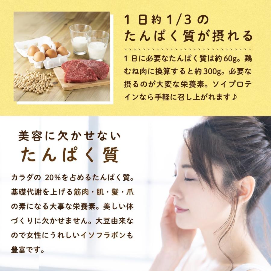 大注目 ソイプロテイン 美味しいプロテイン バナナミルク風味 大豆プロテイン 500g 大豆たんぱく アメリカ産 ダイエット Diet Protein 日本限定
