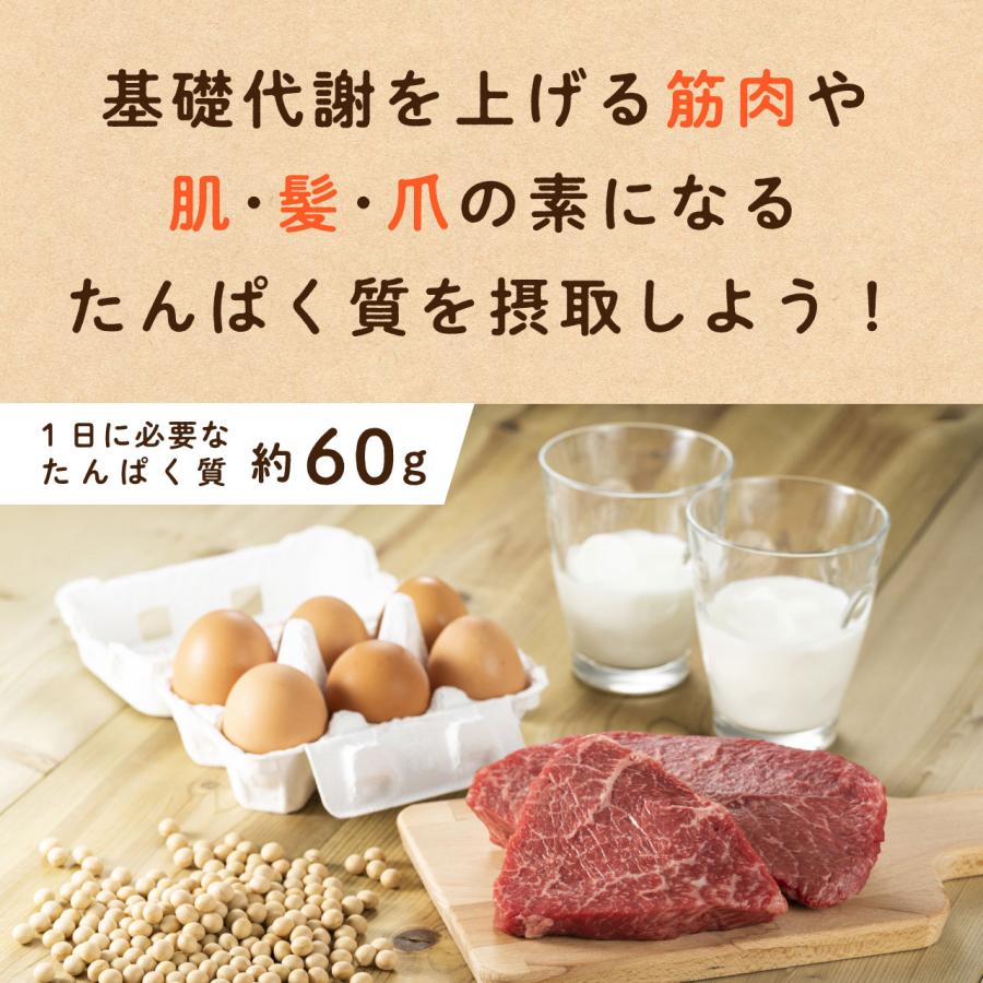 ソイプロテイン 10kg (1kg×10袋)  大豆 プロテイン プレーン 大豆たんぱく イソフラボン ダイエット 置き換え｜m-h-s｜06