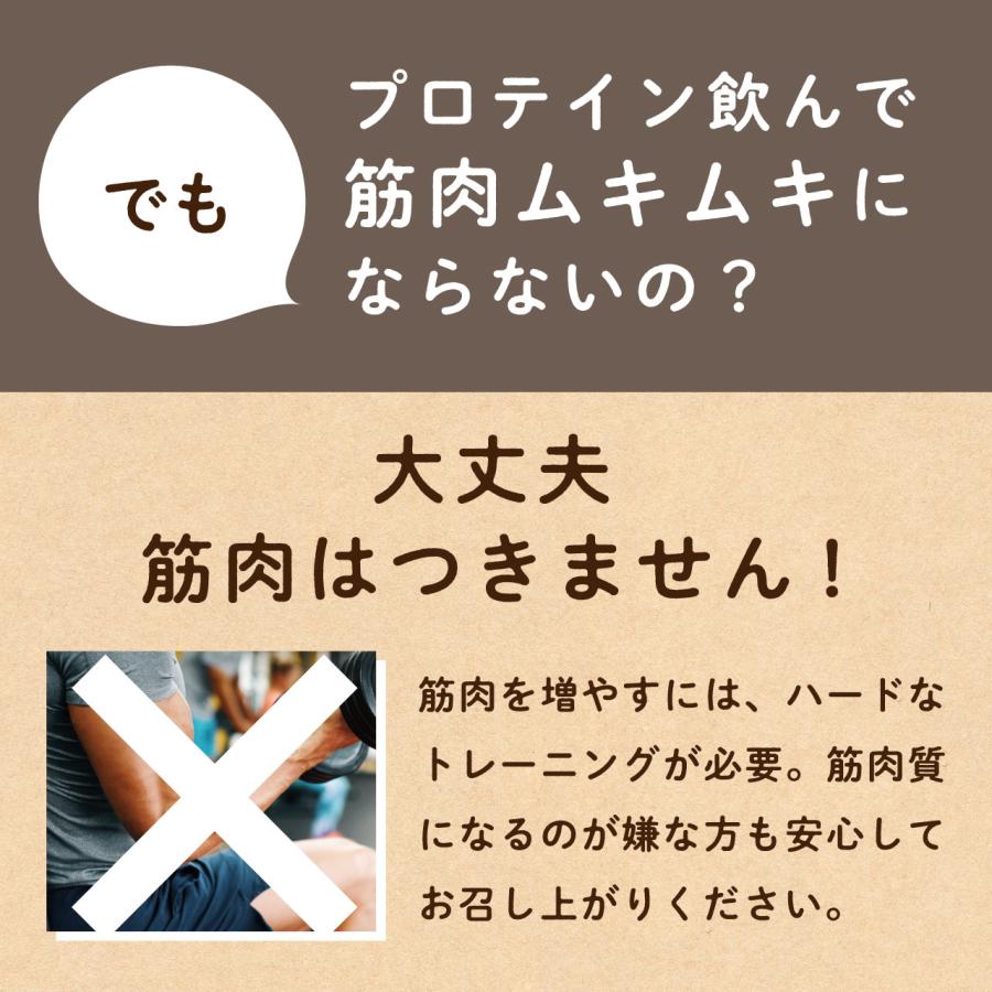 LOHAStyle ソイプロテイン 10kg (1kg×10袋) 大豆 プロテイン LOHAStyle ソイプロテイン 10kg (1kg×10袋) 大豆 プロテイン