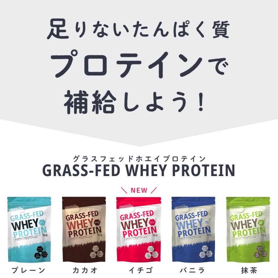 3袋おまとめ　ロハスタイル　グラスフェッド　ホエイプロテイン　有機カカオ Amazon | LOHAStyle(ロハスタイル) サッと混ざる グラスフェッド