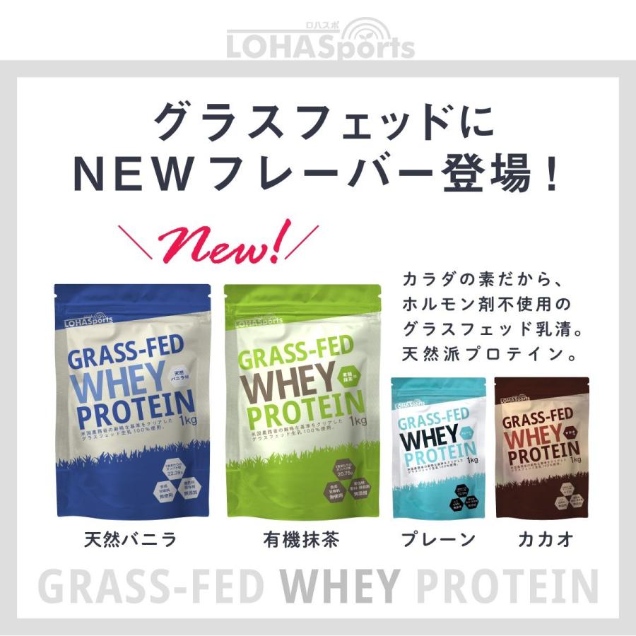 プロテイン ホエイプロテイン 抹茶 3kg (1kg×3袋) グラスフェッド プロテイン アミノ酸 タンパク質 WPC｜m-h-s｜03