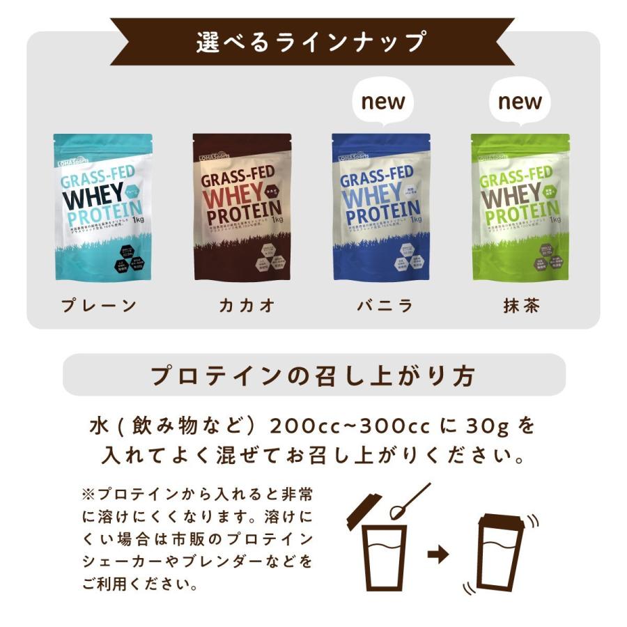 LOHAStyle（ロハスタイル） プロテイン ホエイプロテイン 抹茶 3kg