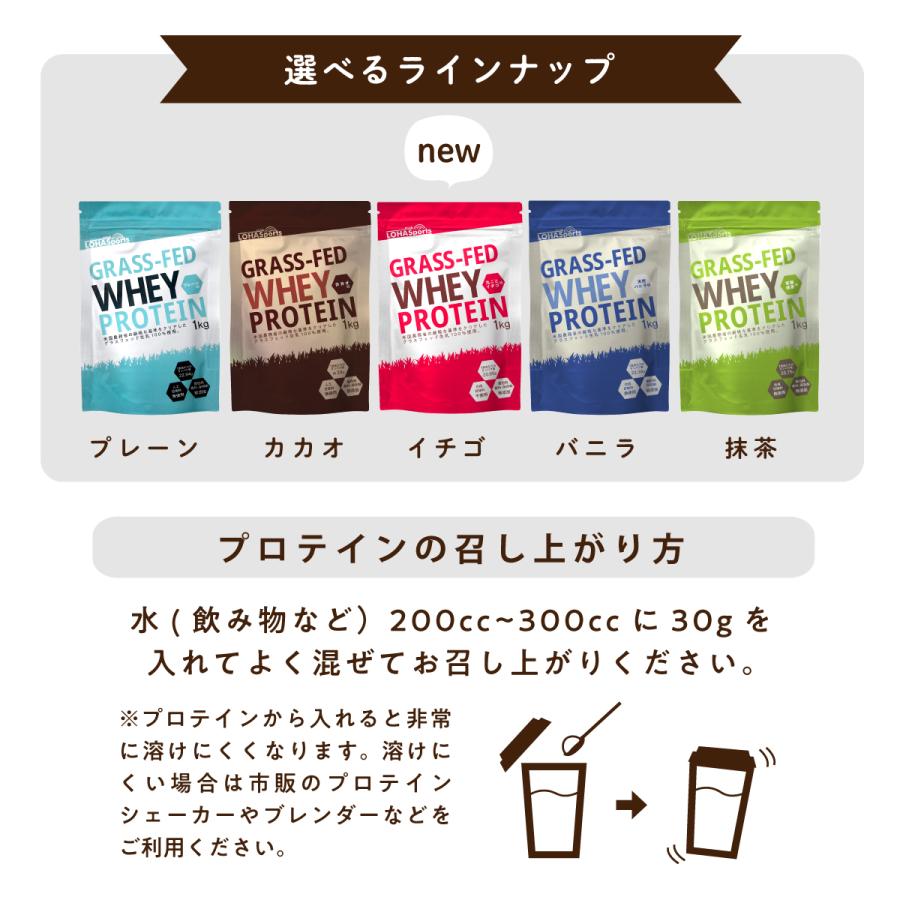 LOHAStyle プロテイン ホエイプロテイン 抹茶 1kg グラス LOHAStyle プロテイン ホエイプロテイン 抹茶 1kg グラス