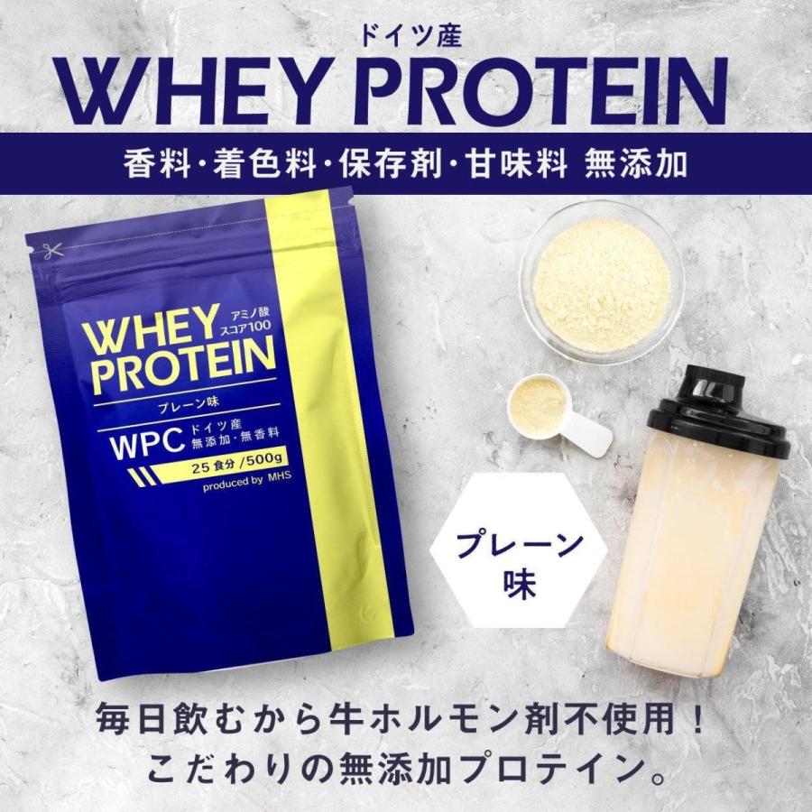 ホエイプロテイン プロテイン ドイツ産 WPC 1kg protein whey アミノ酸スコア100 500g×2 【美品】