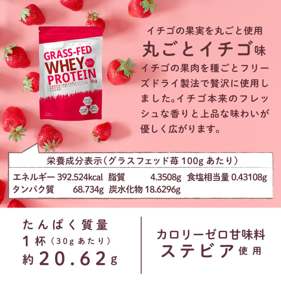 プロテイン ホエイプロテイン ストロベリー 苺 1kg グラスフェッド プロテイン アミノ酸 タンパク質 WPC｜m-h-s｜11