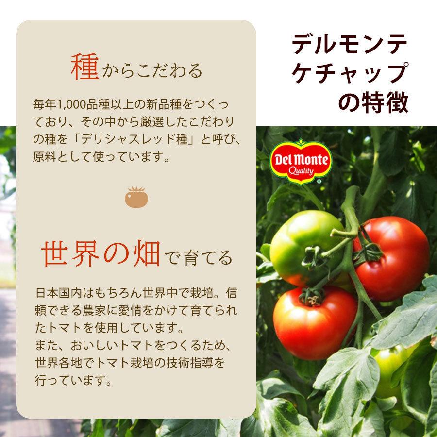 995円 【SALE／69%OFF】 キッコーマン食品 デルモンテ 国産トマトケチャップ 285g×5本