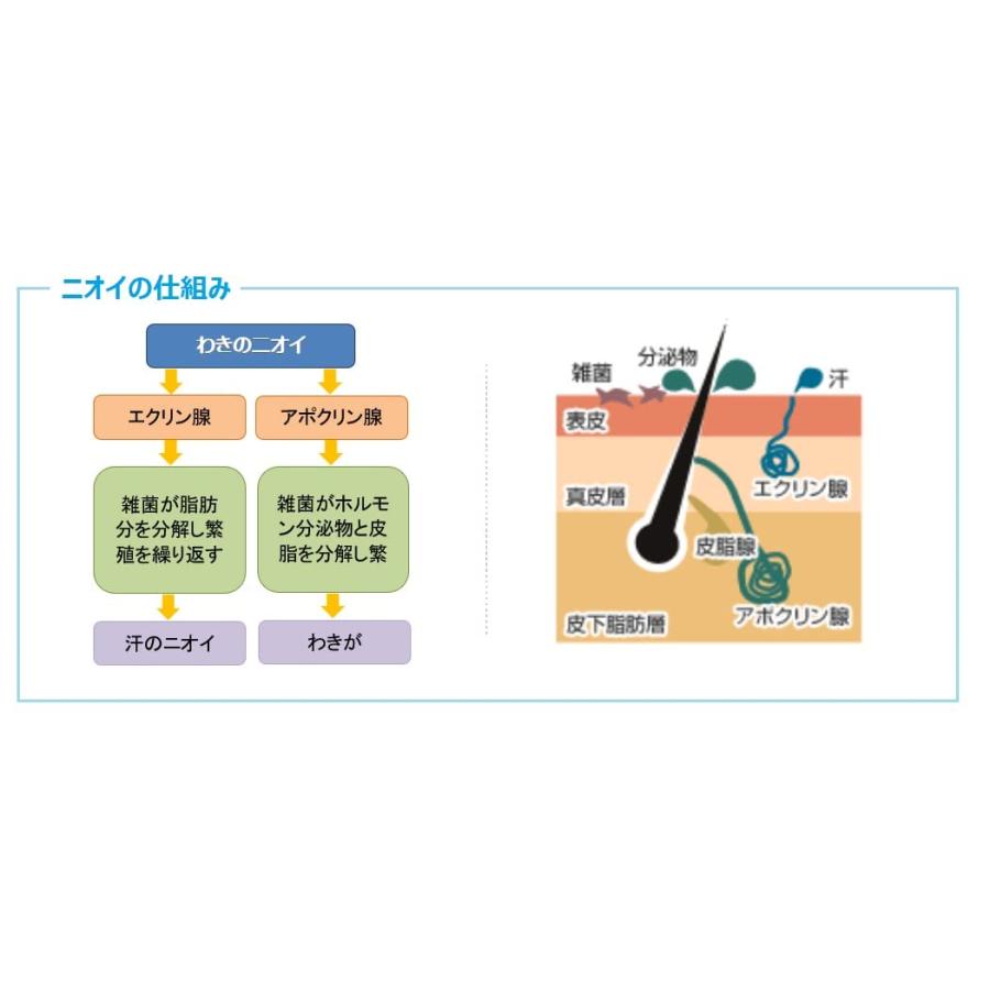 東京甲子社 特製エキシウクリーム 30g｜m-mmks｜04