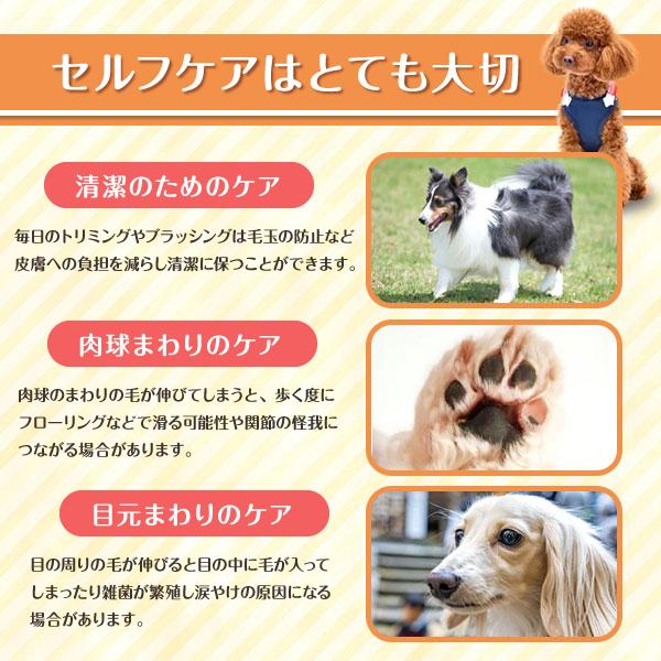 トリミングシザー ハサミ ７点セット ペット 犬 猫 お手入れ 美容 スキバサミ カーブシザー 110 Trimming Scissors 7sets M Mode 通販 Yahoo ショッピング