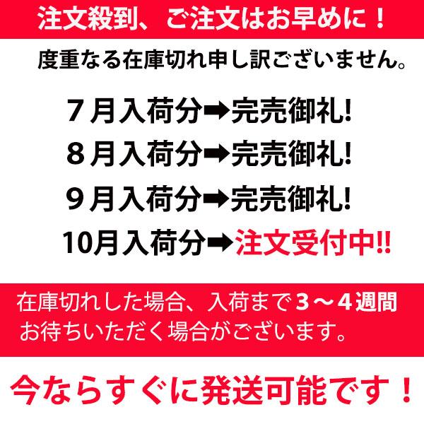 62%以上節約 膝サポーター スポーツ 医療用 膝用 ひざサポーター 高齢者 薄手 大きいサイズ 秋 冬 固定 バンド ベルト 靭帯 tronadores.com 62%以上節約 膝サポーター スポーツ 医療用 膝用 ひざサポーター 高齢者 薄手 大きいサイズ 秋 冬 固定 バンド ベルト 靭帯 tronadores.com