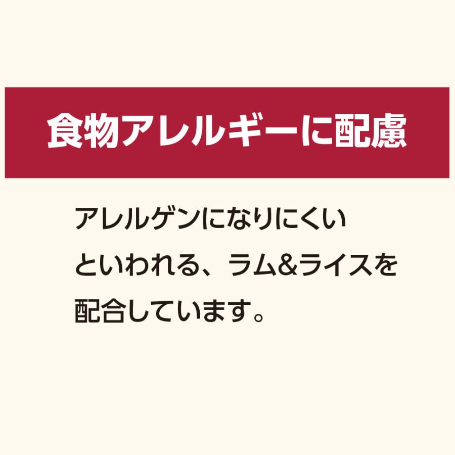 総合栄養食 ナナ(Nana)レギュラー大粒100g　お試し  一般の成犬用 ラム＆ライス 原料に小麦は使用してません 糞臭軽減｜m-nana｜06