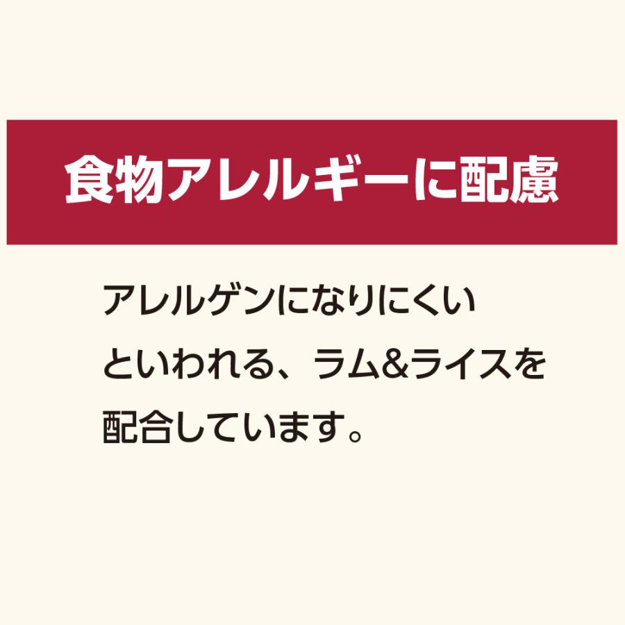 総合栄養食 ナナ(Nana) スーパーライトエナジー小粒9kg(3kg×3袋) 高齢犬・肥満犬用 ラム＆ライス 原料に小麦は使用してません 糞臭軽減の画像