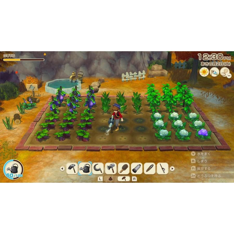 任天堂 Nintendo Switch 牧場物語 Let's! 風のグランドバザール