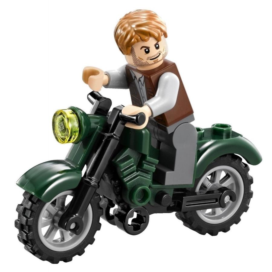 LEGO（レゴ） ジュラシックワールド ラプトルの猛威 75917 : メモリー