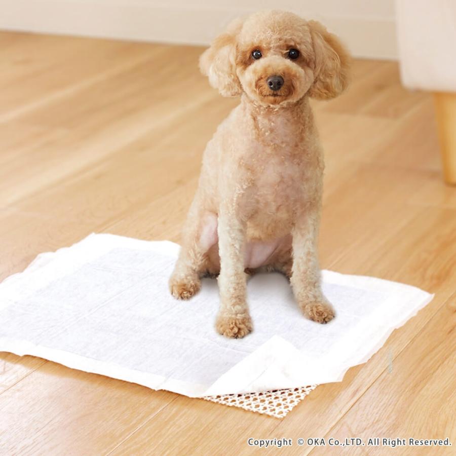 猫 爪研ぎ防止 シート 壁紙保護シート ニャンバリア 貼ってはがせる 撥水 防水 半透明 カットOK  ネコ ひっかき傷 選べるデザイン オカ |  | 13