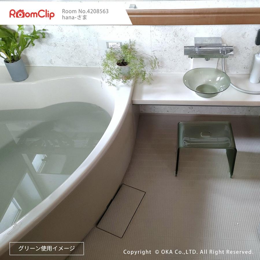 オカ 洗面器 洗面桶 洗面ボウル 風呂桶 バス用品 アクリル Dナチュレ
