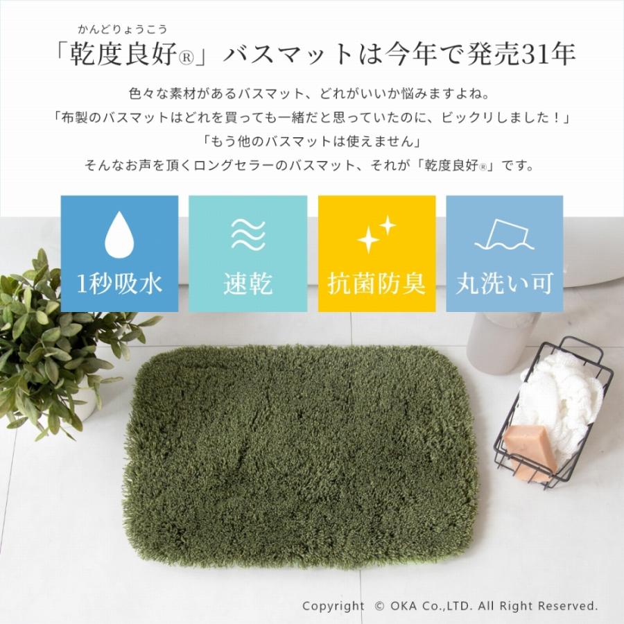 乾度良好 バスマット 速乾 吸水 お試し価格 ピコ 約30×44cm おしゃれ