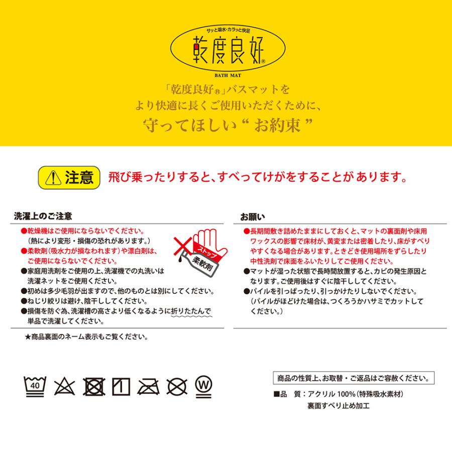 足拭きマット 約70×100cm 10枚セット 業務用バスマット 乾度良好 Ag+ おすすめ 吸水 速乾 抗菌 防臭 ベーシングマット 足ふきマット 大判 大きめ オカ_23