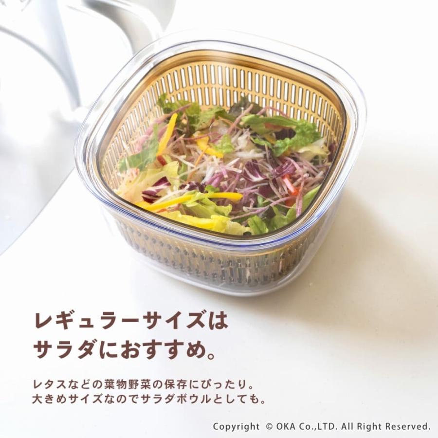 オカ ザル付き保存容器 キッチングッズ PLYS 野菜保存容器 “あらう