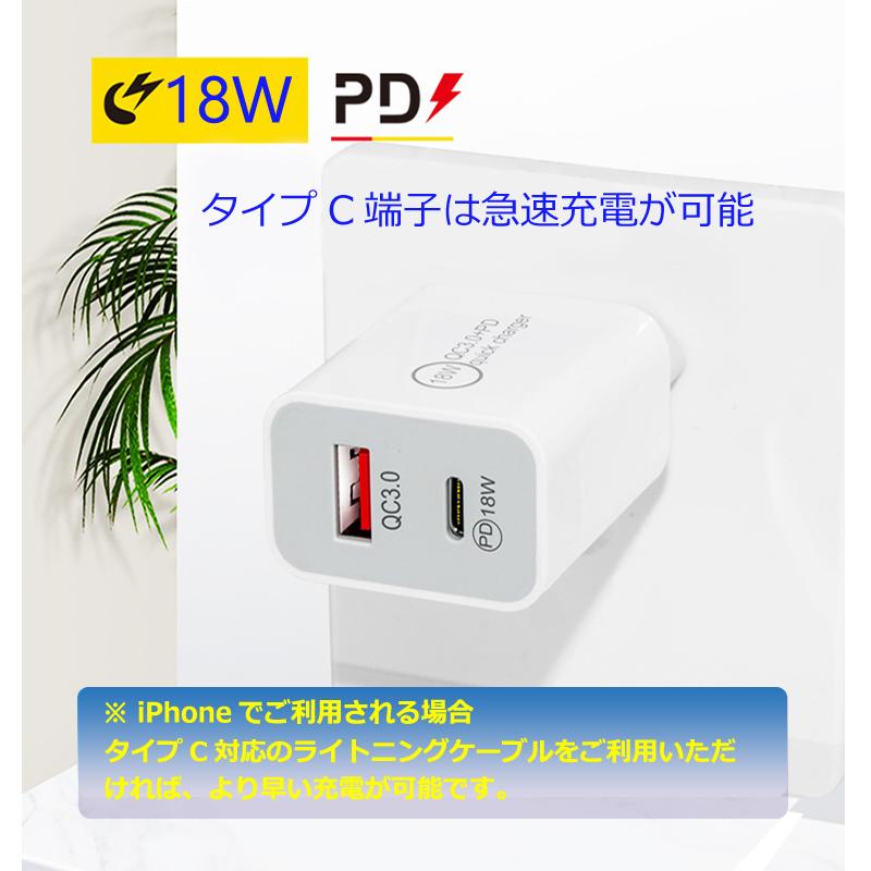 安心の定価販売 2ポートライトニングケーブル用usb タイプcコンセント ケーブル アダプター おすすめ 急速充電 安い Apple Adapter 充電 Usb タイプc Discoversvg Com