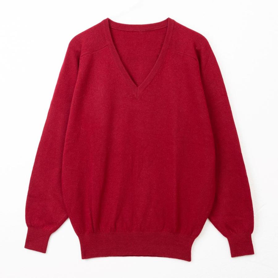 カシミヤ30％　天竺編み　Vネックセーター（ブラック） |  | 05