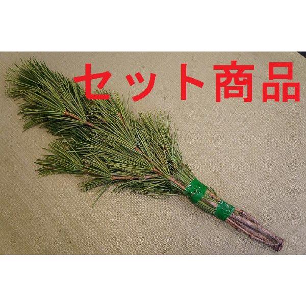 あなたにおすすめの商品 高野槇 コウヤマキ No 06 10束セット ２本１組 70cm前後こうやまき